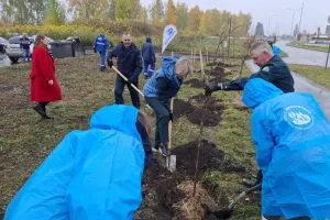 Фонд «Милосердие» поддержал озеленение в Старом Осколе
