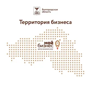 В Белгородской области откроют центр консультаций по маркетплейсу
